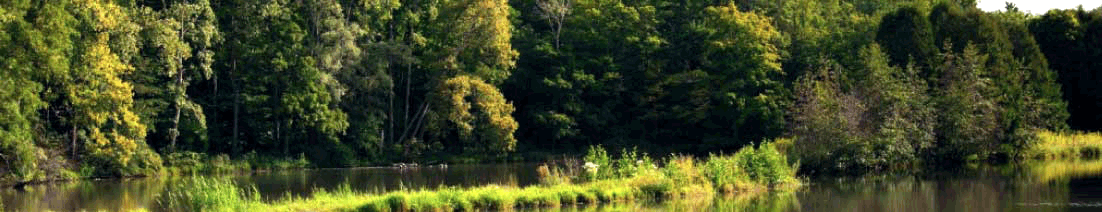 Backus Heritage Conservation Area